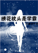 绣花枕头套天蓝色