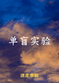 单盲双盲三盲是什么意思